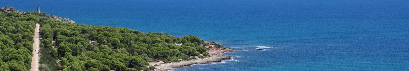 PS XXI Soluciones Inmobiliarias su agencia inmobiliaria de confianza. PS XXI SOLUCIONES INMOBILIARIAS, SL. en Castellon De La Plana PS XXI Soluciones Inmobiliarias su agencia inmobiliaria de confianza. PS XXI SOLUCIONES INMOBILIARIAS, SL. en Castellon De La Plana